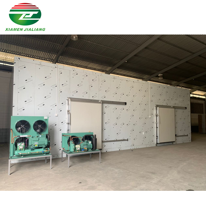 Big Cold Room Projects Venezuela Frozen Sardine Cold Room from China